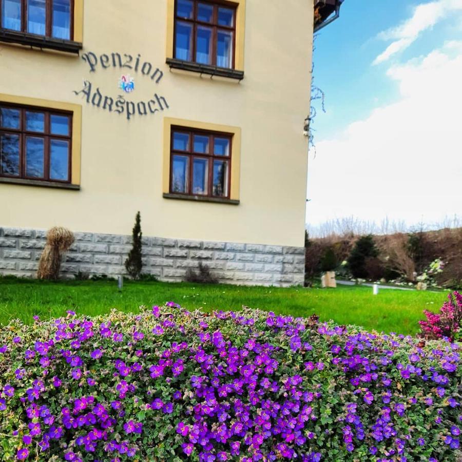 Penzion Adrspach U Bary Hotel Exterior foto